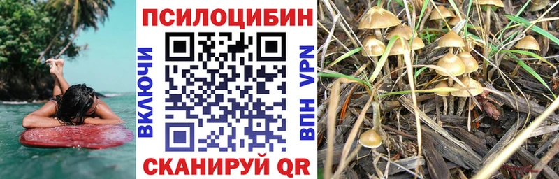 как найти наркотики Задонск omg как зайти Псилоцибиновые грибы ЛСД